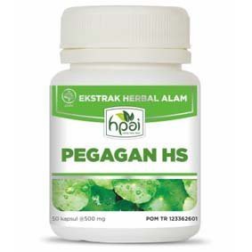 HPAI Pegagan HS