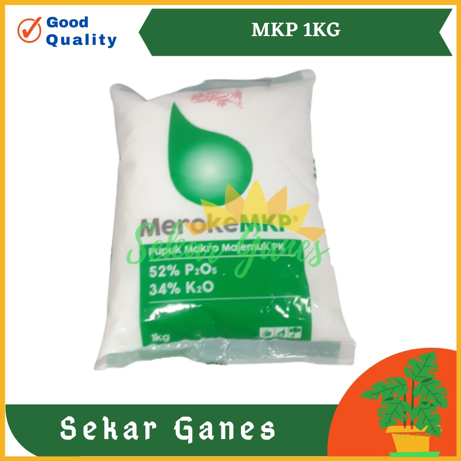 Ori Pupuk Meroke Mkp 1 Kg Meroke Mkp Mono Kalium Phosphate Fosfat Kalium Stimulus Buah Dan Bunga