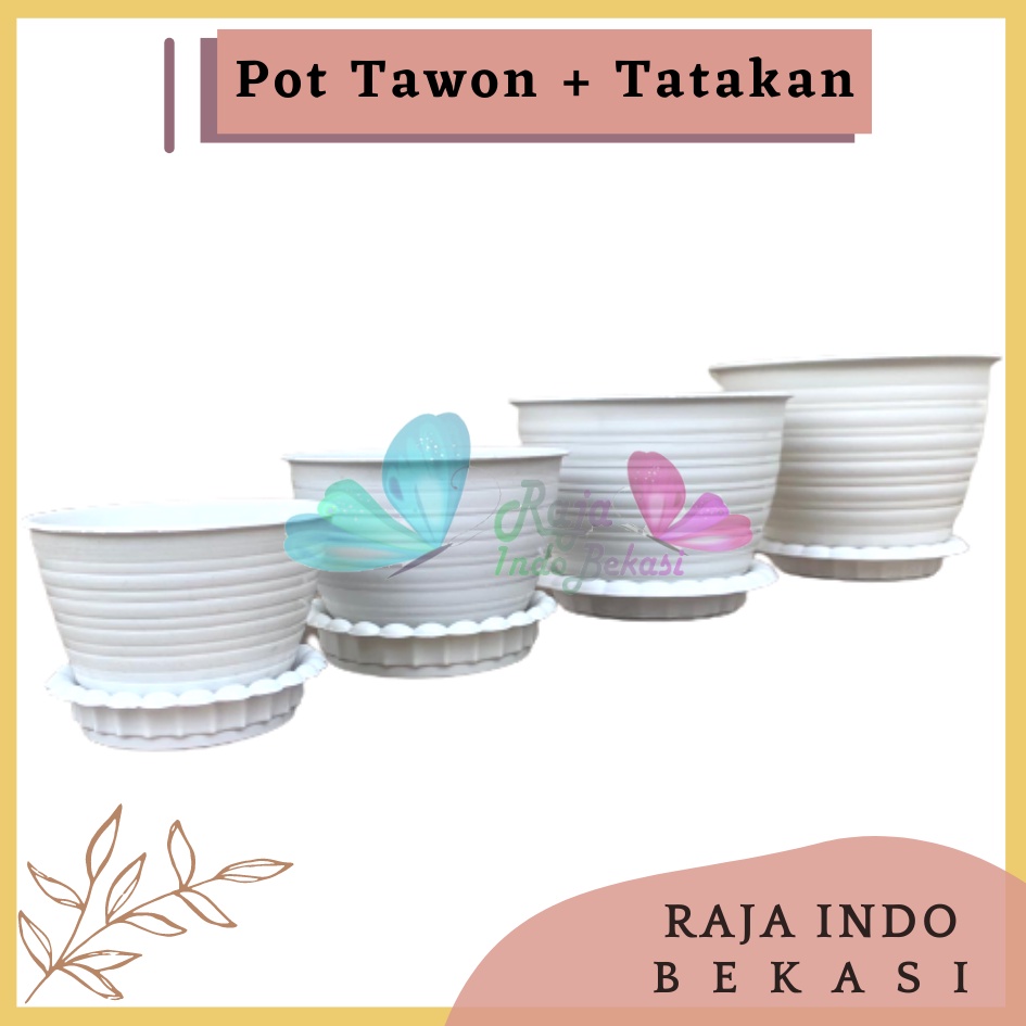 Pot Tawon 10 12 15 18 + Tatakan Putih-MDN Pot Bunga + Tatakan satu set dengan tatakan pot tawon putih pot tanaman hias bonsai kaktus Pot Bunga Murah Ukuran 15 18 21 24 27 cm