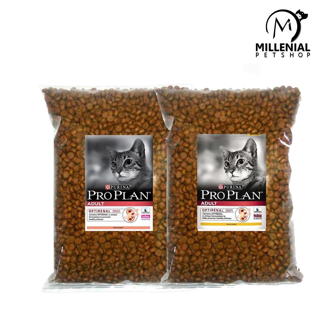 harga pro plan kitten repack