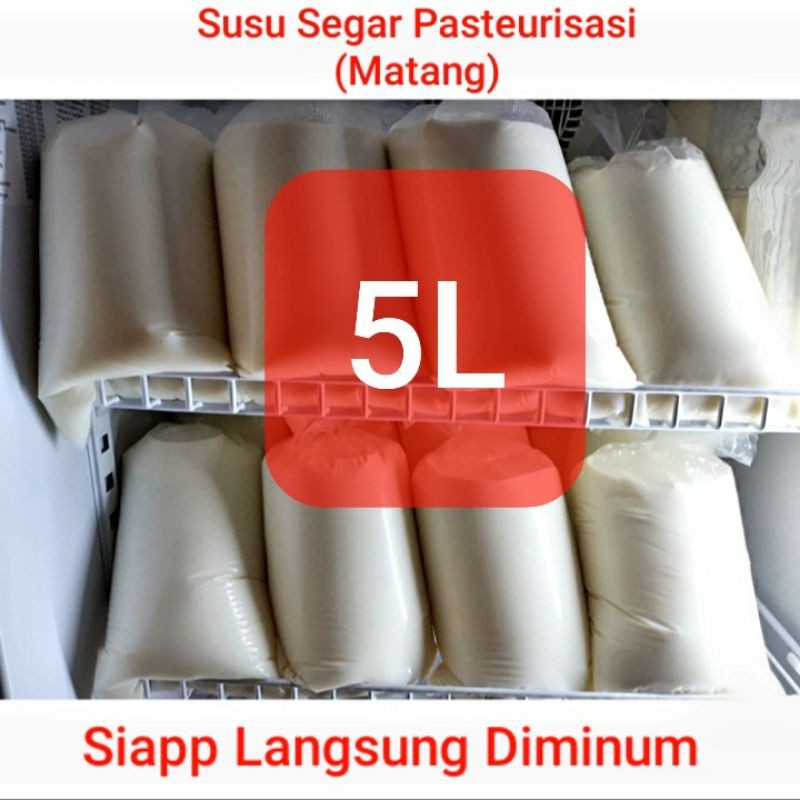 

Ready Setiap Hari!! Susu Sapi Murni Pasteurisasi (Matang) Siap Diminum