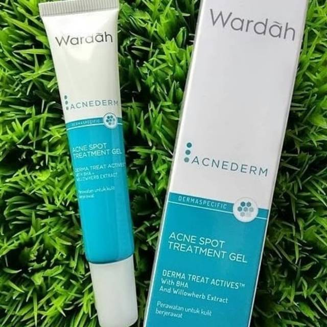 

Wardah Acne Spot Treatment Gel (15ml)