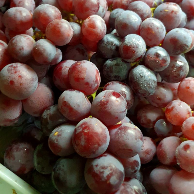 

buah anggur red globe fresh 700gram