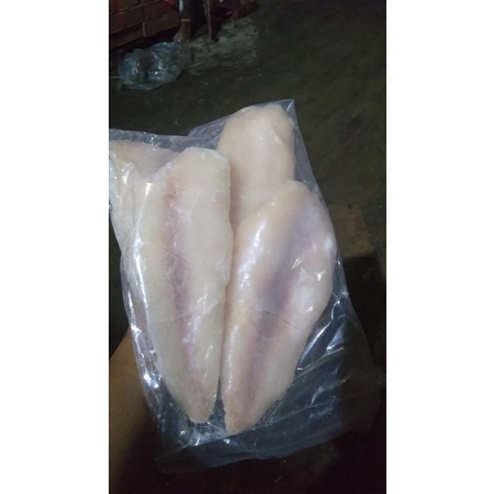 

PAKET RESELLER IKAN SEGAR DORI