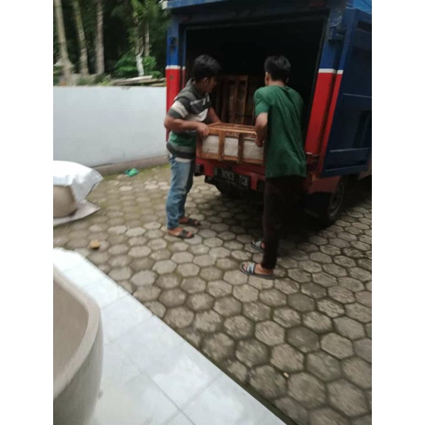 LINK ONGKOS KIRIM CARGO TIGARAKSA