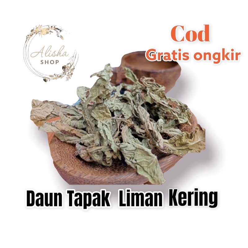 

Daun Tapakliman kering 500gram