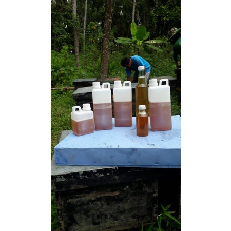 

madu asli madu murni