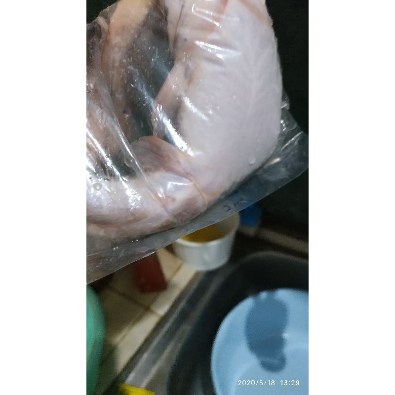 

ikan lele 1 Kg