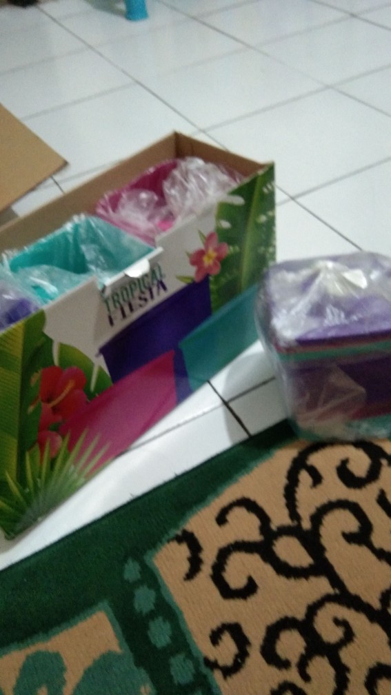 Tropical Fiesta + Free