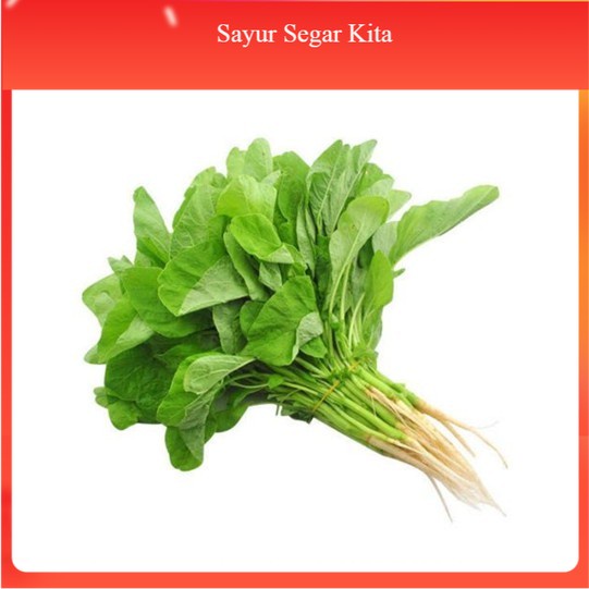 

Bayam Hijau 250 gr