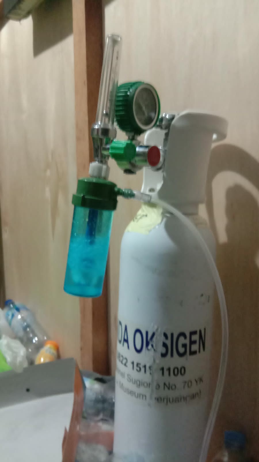 Biji Benih Bidara Arab Sudah Kupasan Siap Semai Isi  1 Biji