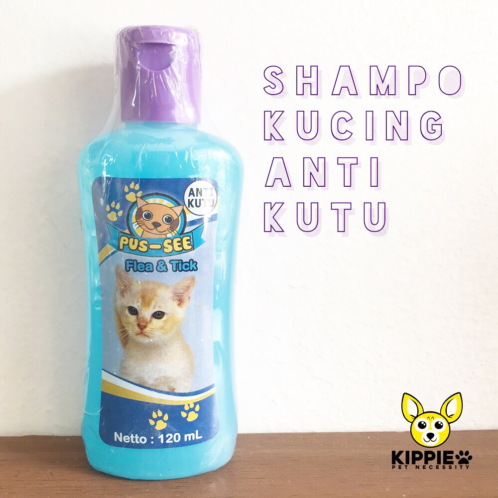 Shampo kucing anti kutu dan jamur yang bagus