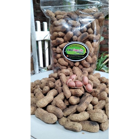 

kacang kulit sangrai