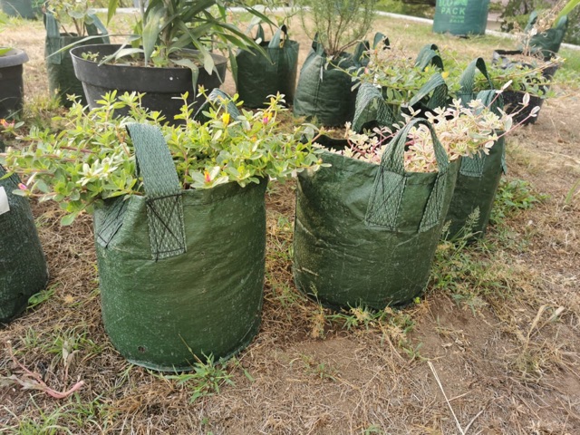 planter bag 75 &amp; 11 liter pot bibit terpal plant bag pot tanaman plastik polybag