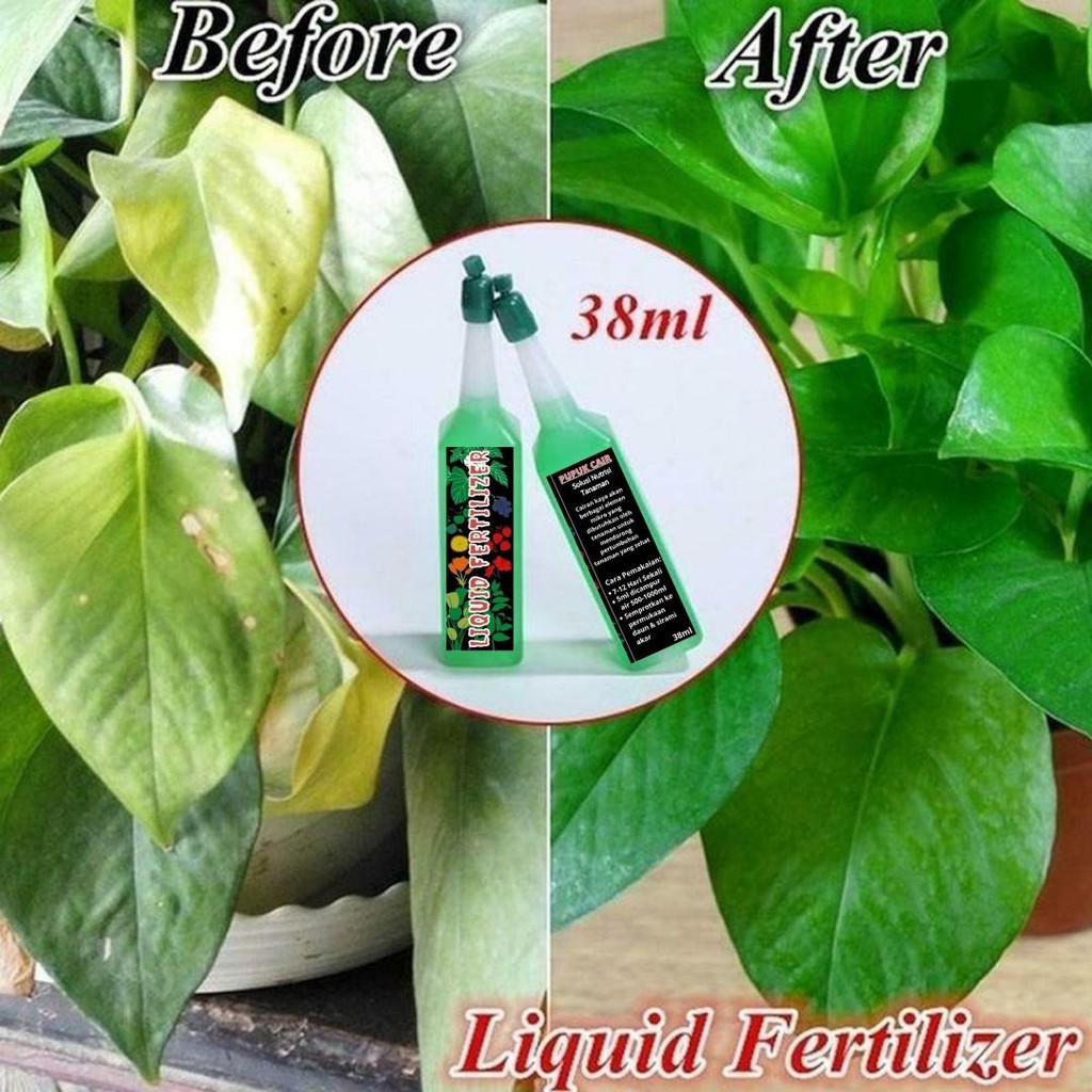 Liquid Fertilizer Pupuk Bunga dan Daun FEZONE