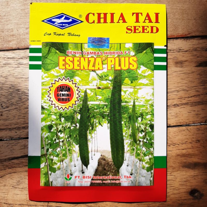 Benih Gambas Oyong Hibrida F1 ESENZA PLUS Anti Virus