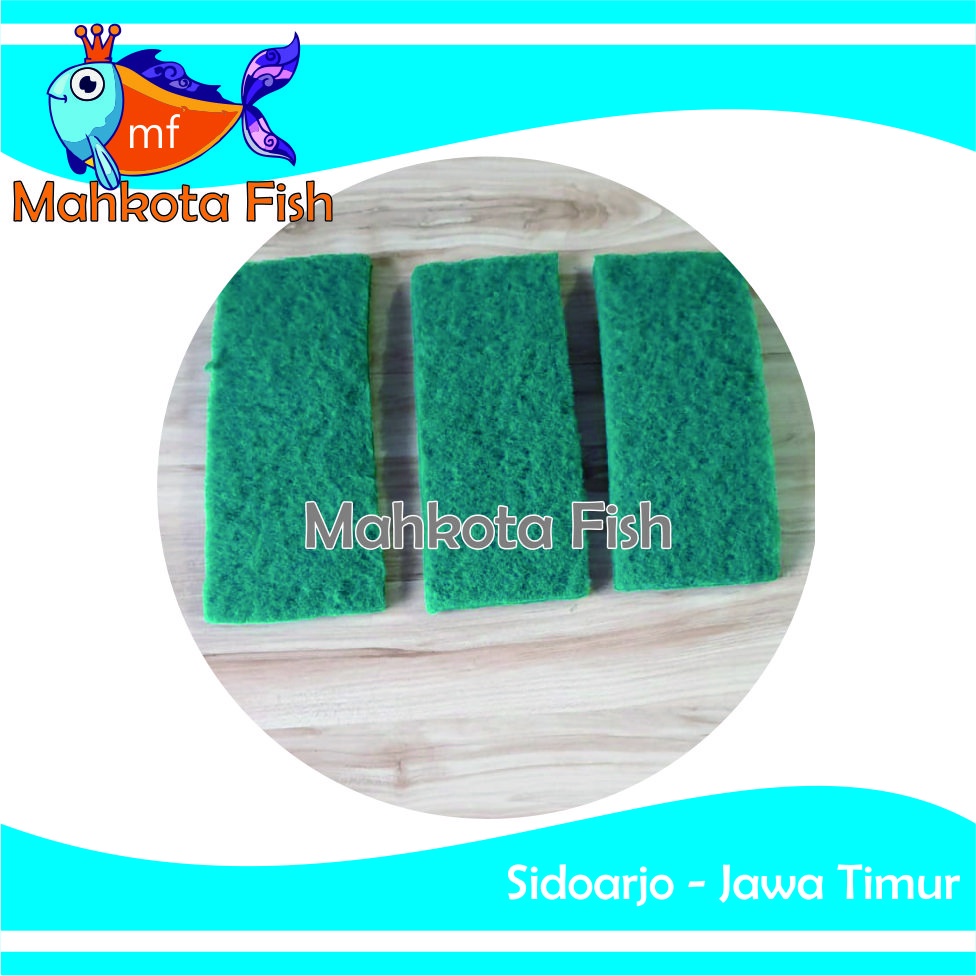 Green Wool | Kapas Busa | Kapas Hijau | Busa Hijau | Filter Aquarium