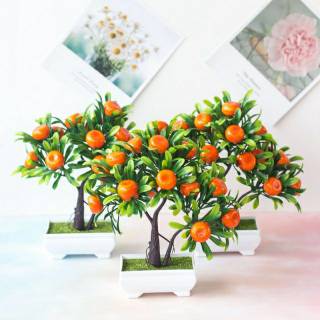 ES390 Tanaman  Hias  Bonsai Pohon Buah BUNGA HIAS Shopee  