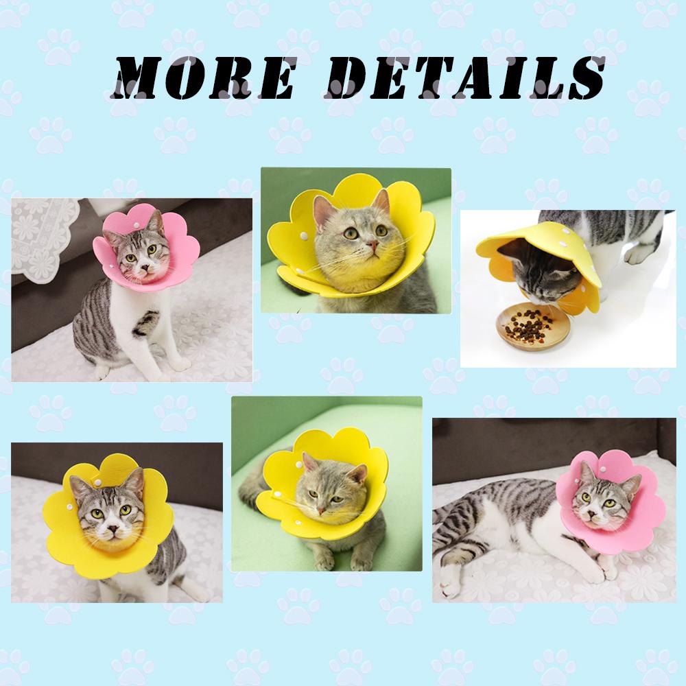 Solighter Cat Recovery Collar Home Adjustable Elizabethan Collars Cat Cones Setelah Operasi