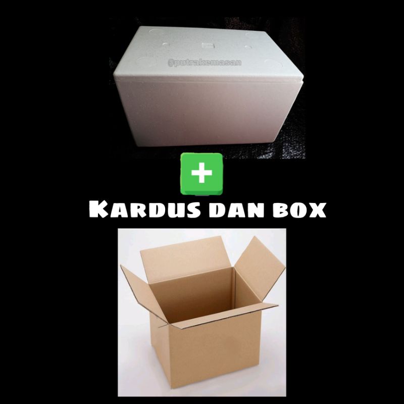 

Kardus dan Box Styrofoam 47,5×31,5×28,5cm/ box sterofom Kotak gabus steropom