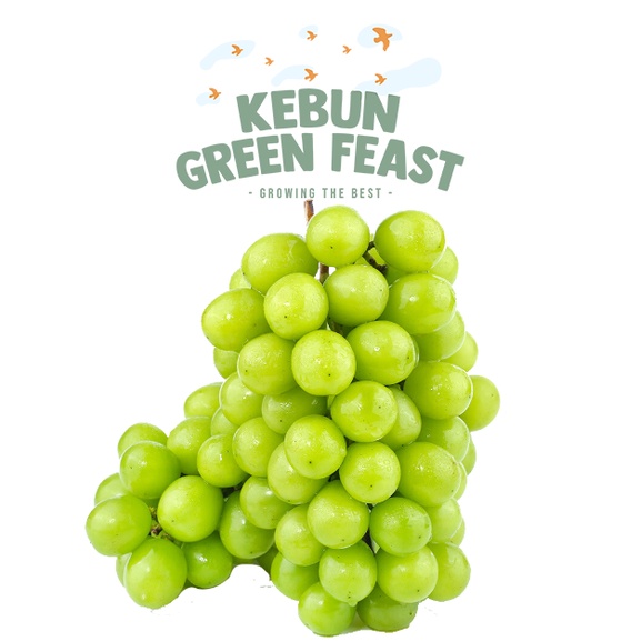 

Anggur Muscat Premium 1kg - Shine muscat Import