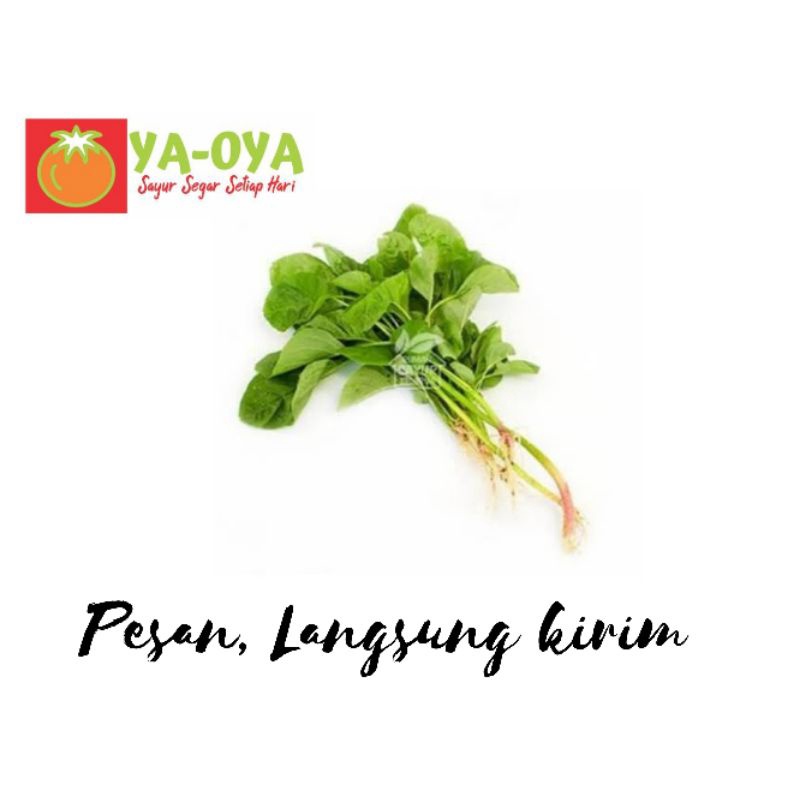 

SAYUR SEGAR BAYAM HIJAU 2 IKAT