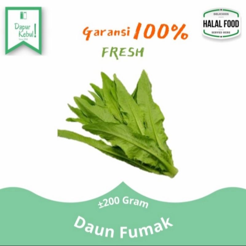 

sayur daun fumak 1 kg