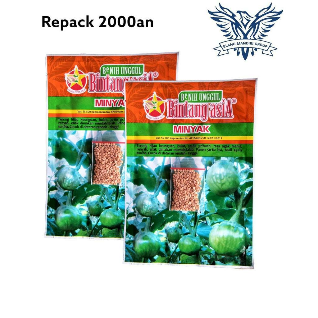 Repack 2000an Benih Terong Lalap Bulat Minyak Bintang Asia Cocok Untuk di Pekarangan