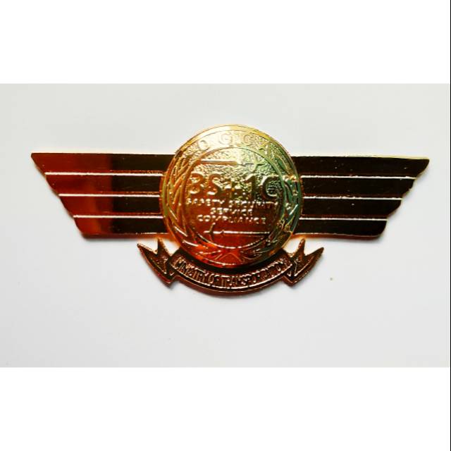 Wing DGCA 3S1C magnet