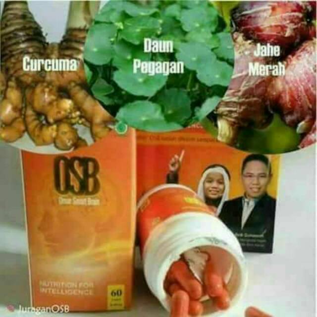 OSB(VITAMIN OTAK)