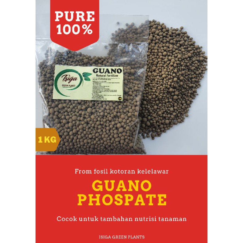 pupuk natural Guano phospate murni