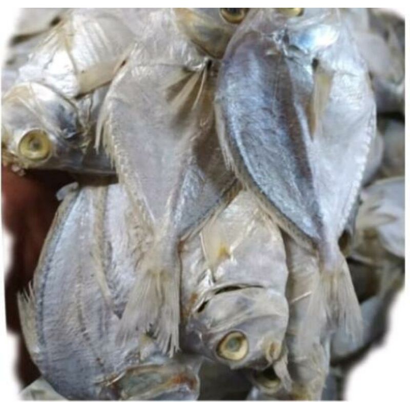 

Ikan Asin petek besar 250gr