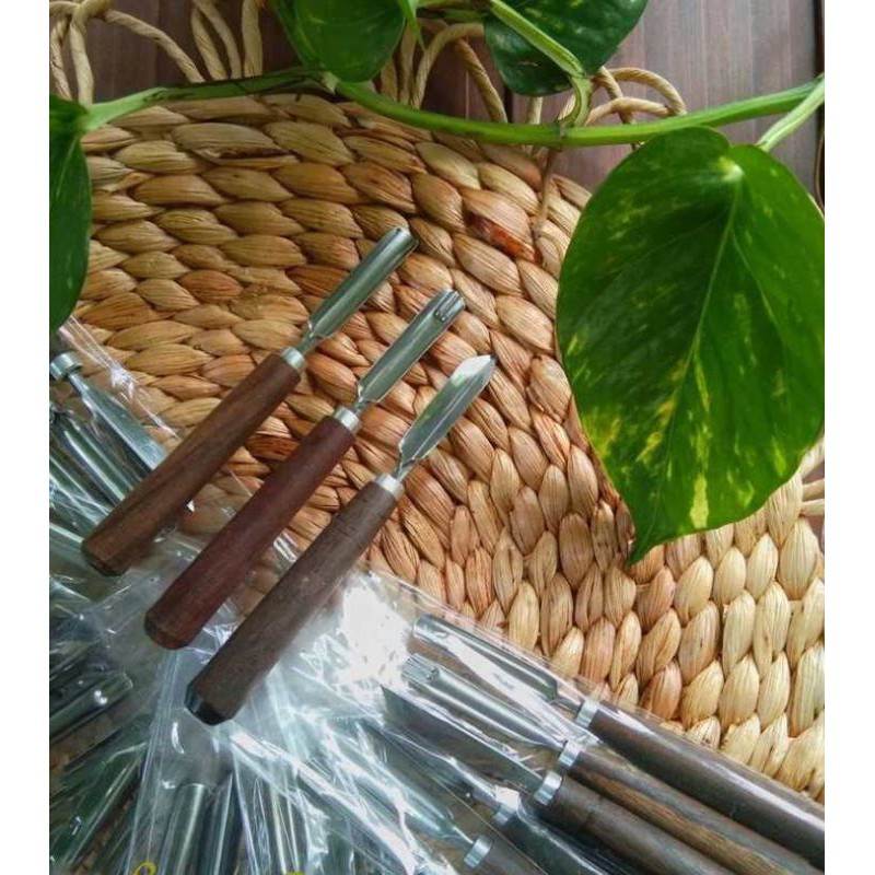 3pcs promo pisau ukir buah scoop /pisau garnish / pisau carving