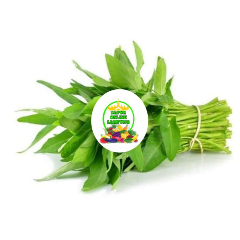

SAYUR KANGKUNG/IKAT SAYURAN SEGAR BANDAR LAMPUNG