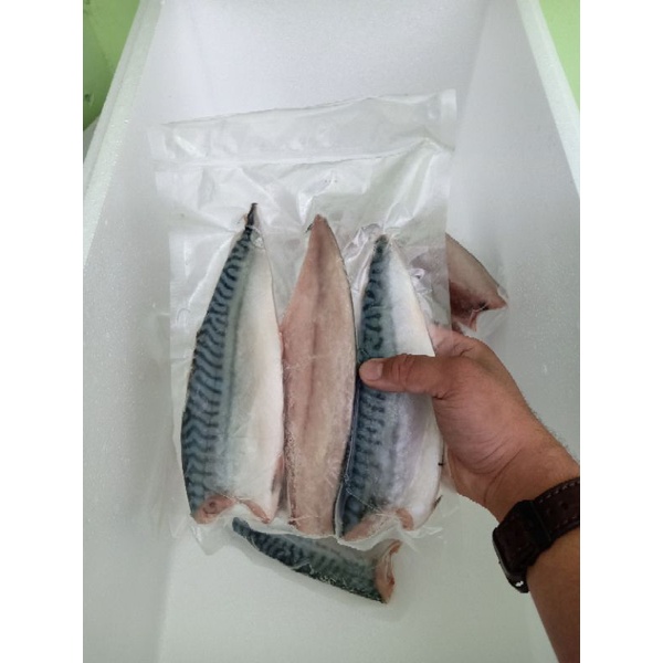

Saba Fish Fillet Fresh 500gram \ Saba Jepang \ Makarel Fillet 500gram