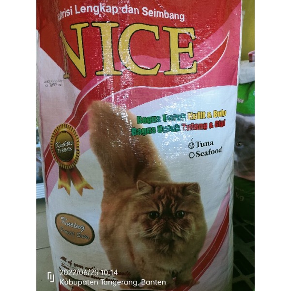 nice donat makanan kucing