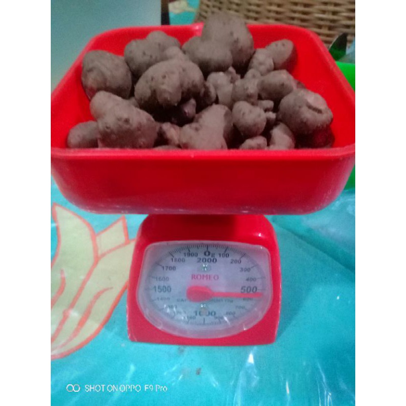 

katak500gram