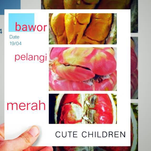 

Ready Stock ✱ paket 3 jenis durian#