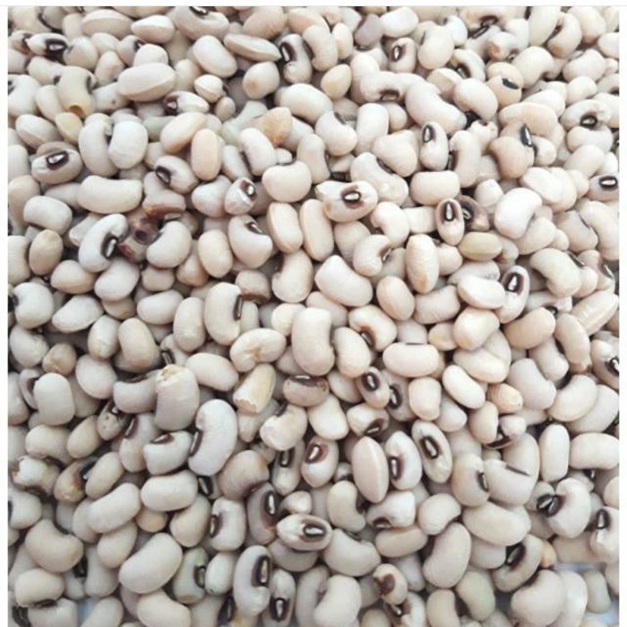 

kacang putih mentah pasar online makassar