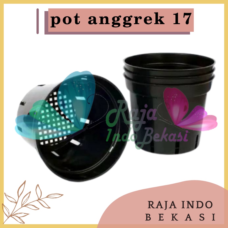 Pot Plastik Anggrek 17 | Jual Pot Bunga Anggrek Orchid Pot 17 Cm Grosir Murah