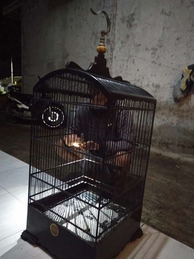 Kawat Las Nikko 2.0 Bijian 260 460 2mm