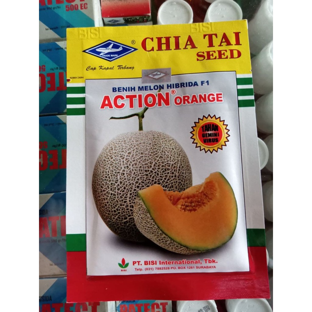 Benih Melon Action Orange CHIA TAI SEED