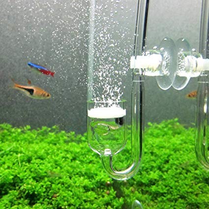 AQUA NOVA 20mm 20 mm 28mm 28 mm Co2 Glass Diffuser kaca aquarium aquascape