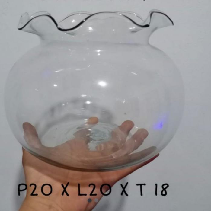 AQUARIUM BULAT - AQUARIUM HIAS - AQUARIUM CUPANG