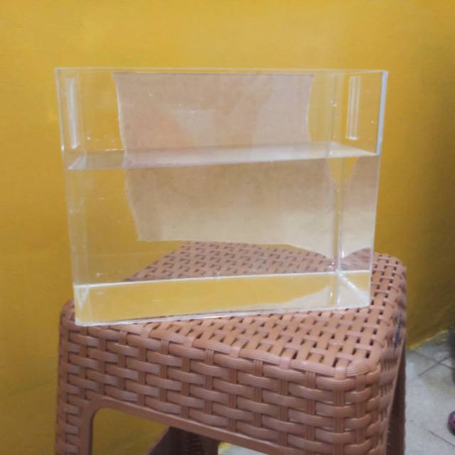 Soliter Aquarium 15x10x15 Sekat Bening