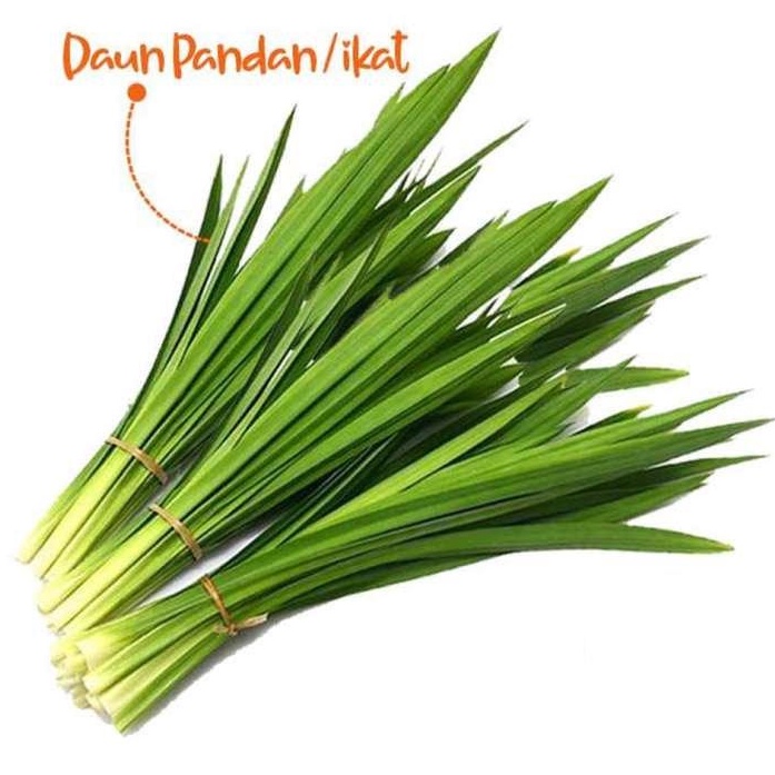

Daun Pandan 1 ikat