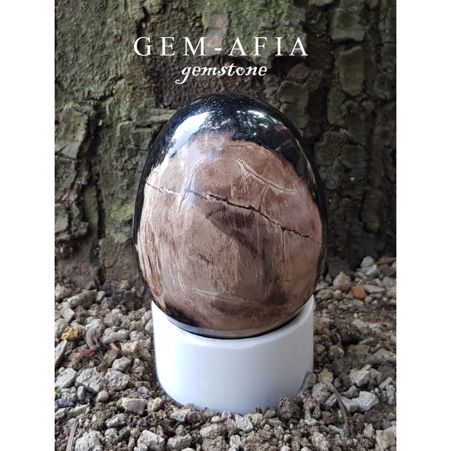Batu Telur Fosil Kayu Batu Telur Fosil Kayu - Souvenir Batu Telur For Healing - Petrified Wood Egg C