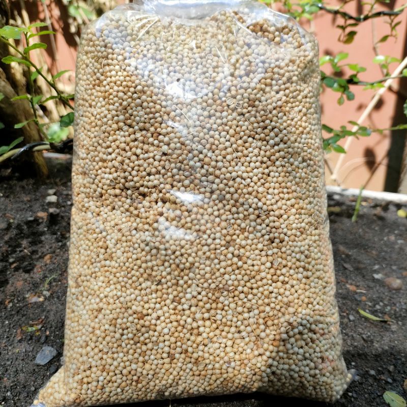 

[Ready 1Kg]Termurah Ketumbar bulat kuning/ketumbar bulat bersih 1kg