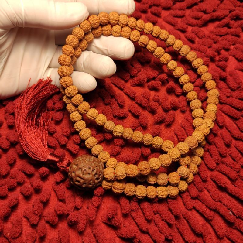 mala rudraksha 108 original
