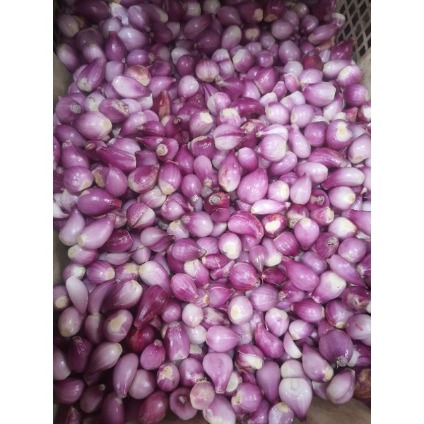 

[Bumbu SKD] BAWANG MERAH KUPAS BREBES SUPER 250 GRAM